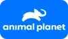 USA entertainment channels